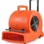 Bissell BG10 and 86T3 Pump