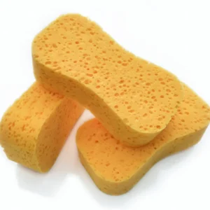 Wash Sponge Car